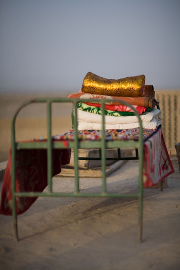 Gold Pillow, 2011